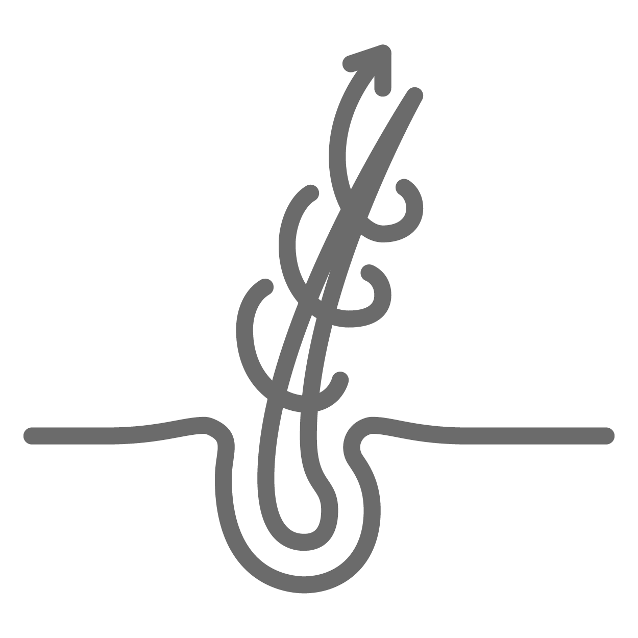 reparacion del cabello